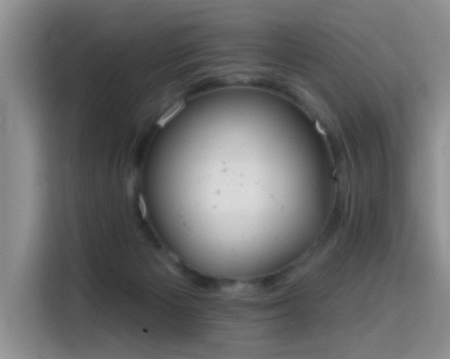 X0000115690125200911191122