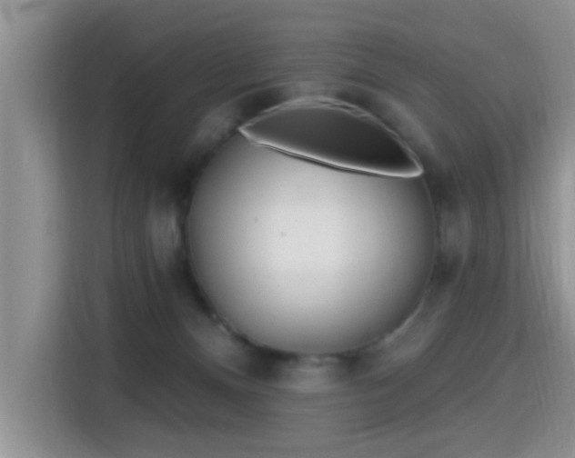 X0000115690128200911191122