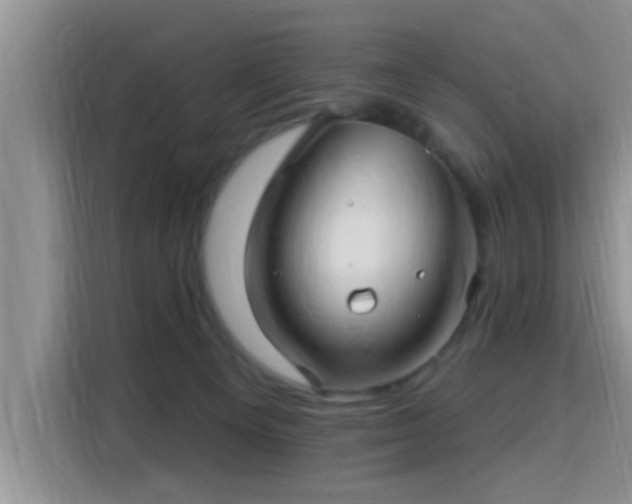 X0000115690129200911191121