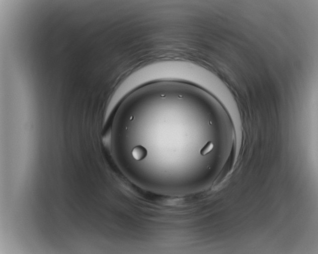 X0000115690132200911191121