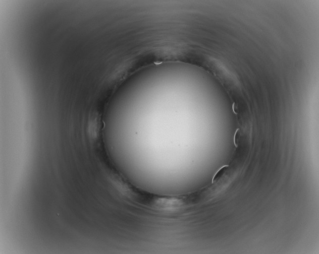 X0000115690133200911191121