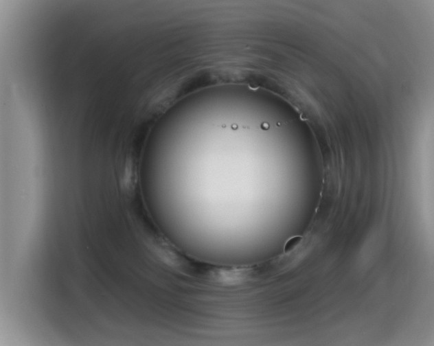 X0000115690134200911191121