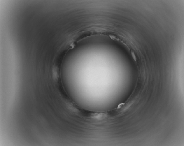 X0000115690135200911191121