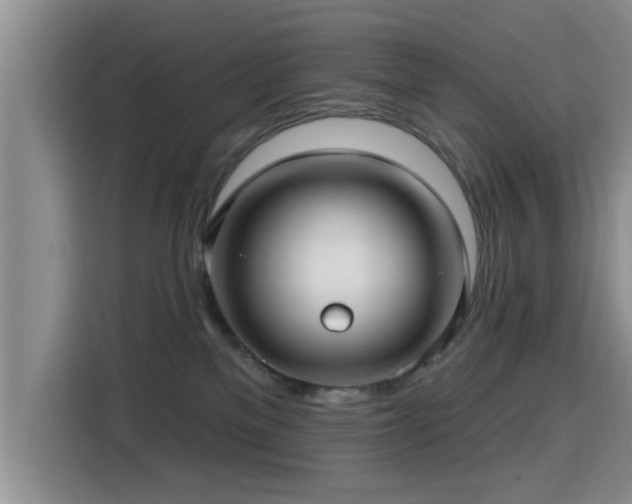 X0000115690137200911191121