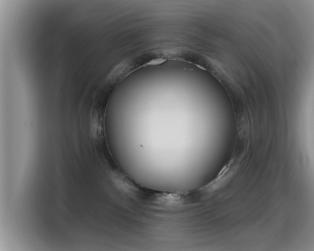 X0000115690140200911191121