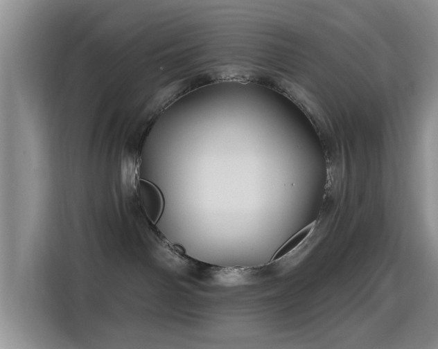 X0000115690142200911191121