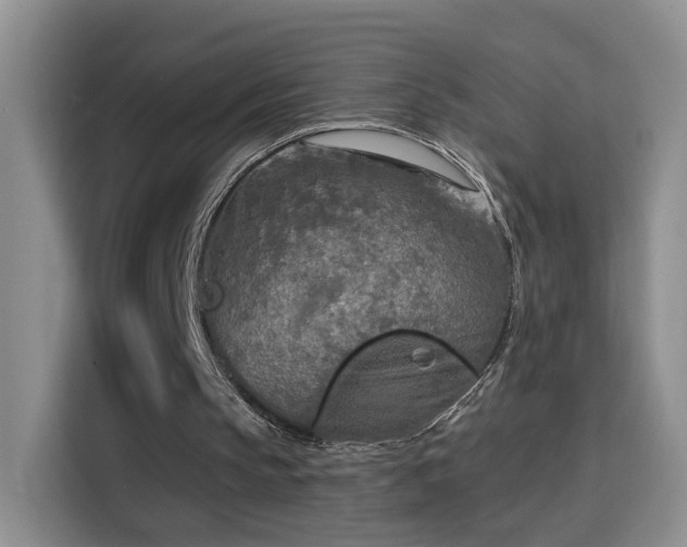 X0000115690145200911191121