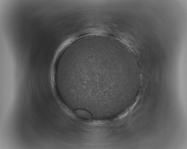 X0000115690149200911191121