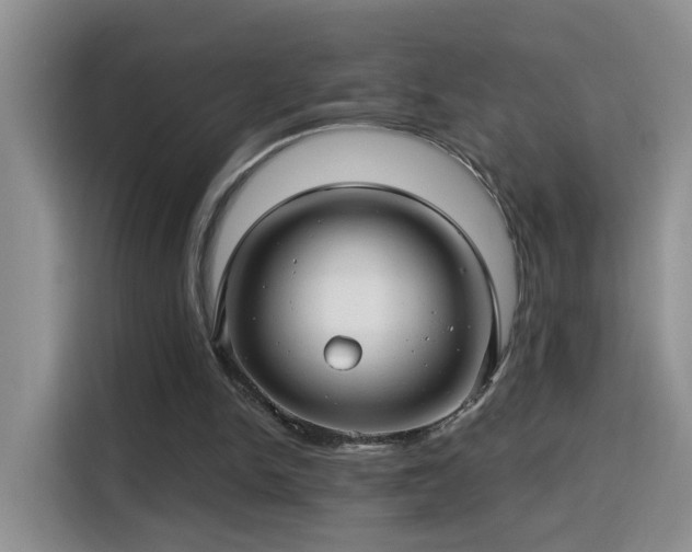 X0000115690150200911191121