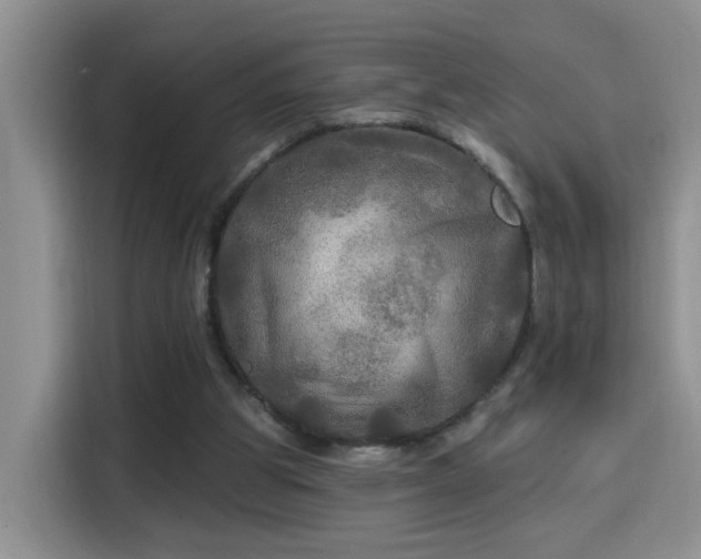 X0000115690153200911191121