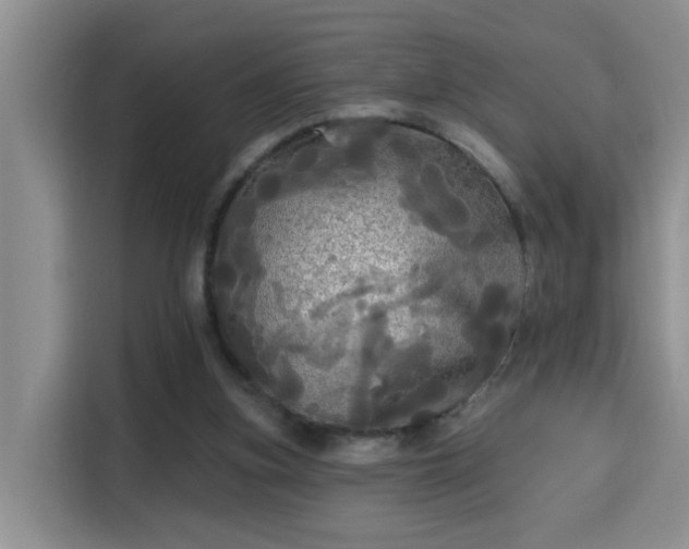 X0000115690155200911191121