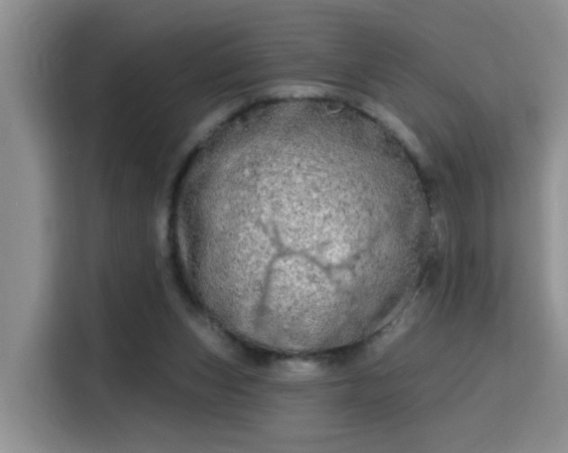 X0000115690159200911191121