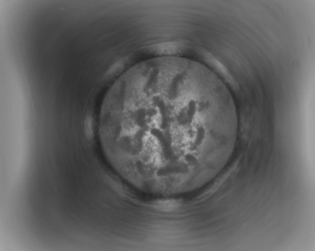 X0000115690161200911191121