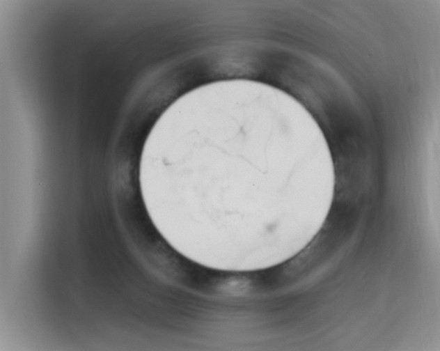 X0000115690162200911191121