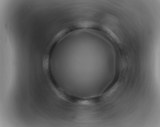 X0000115690163200911191121