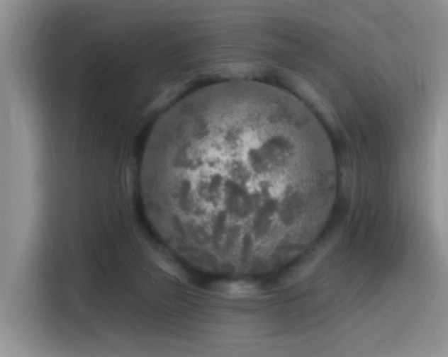 X0000115690165200911191121