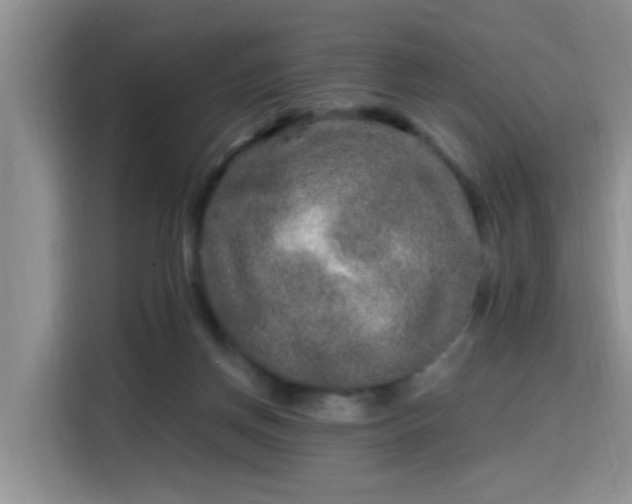 X0000115690166200911191121