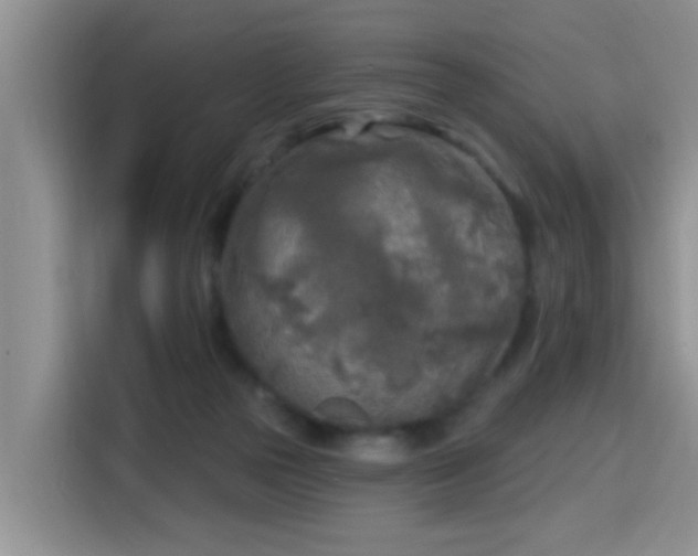 X0000115690169200911191121