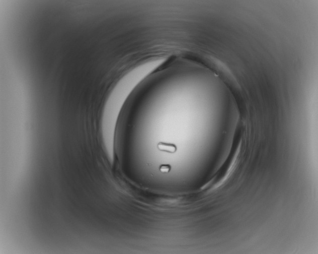 X0000115690170200911191121