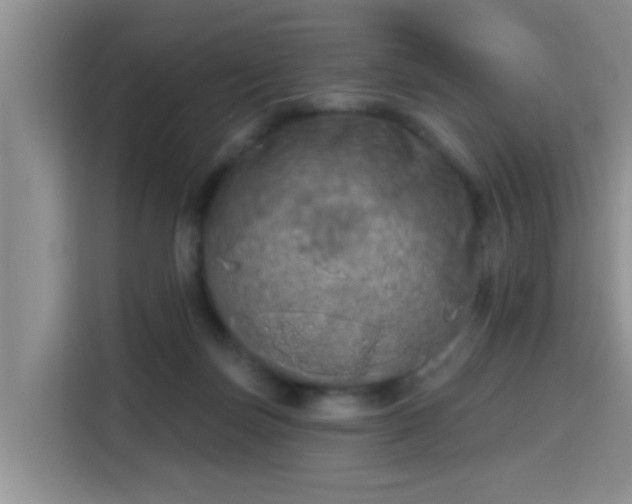 X0000115690171200911191121