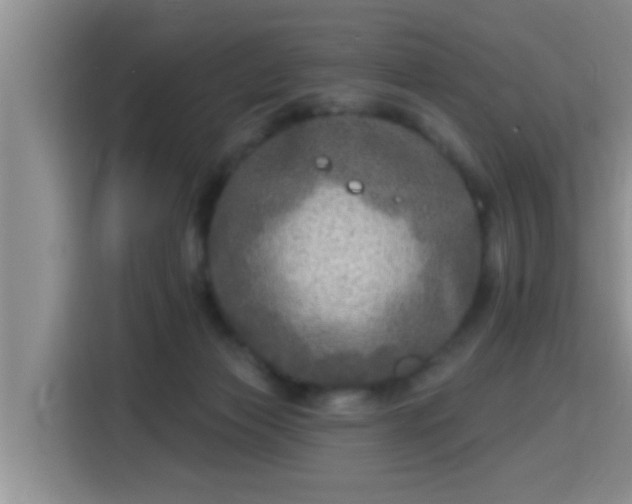 X0000115690173200911191121