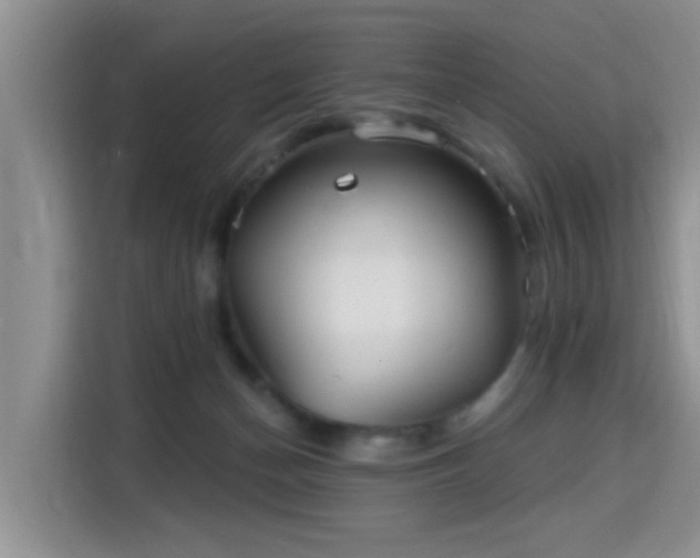 X0000115690174200911191121