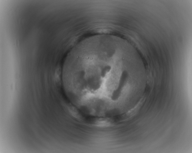 X0000115690175200911191121