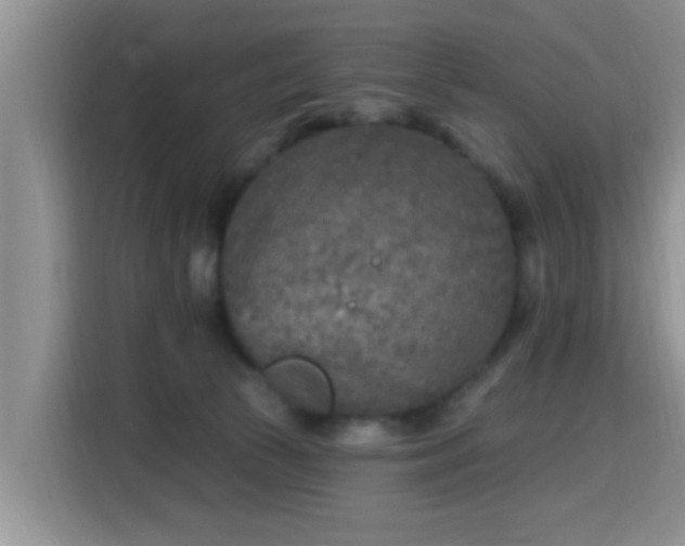 X0000115690177200911191121