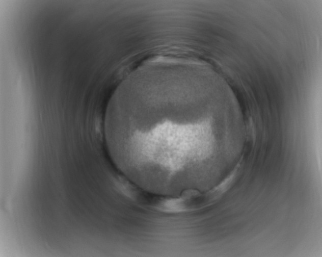 X0000115690178200911191121