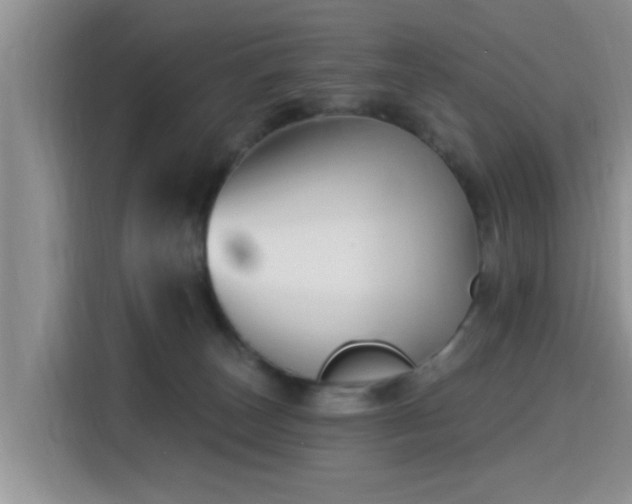 X0000115690179200911191121