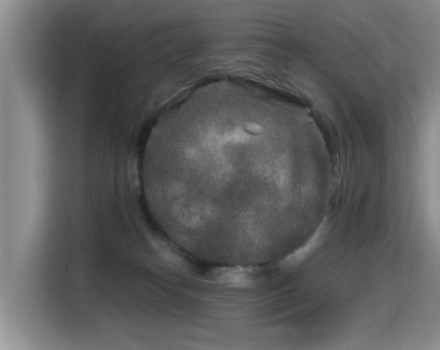 X0000115690182200911191121