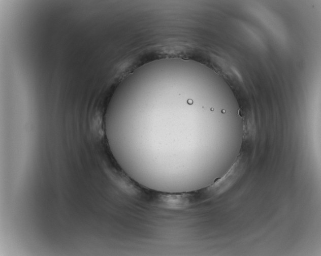 X0000115690187200911191121