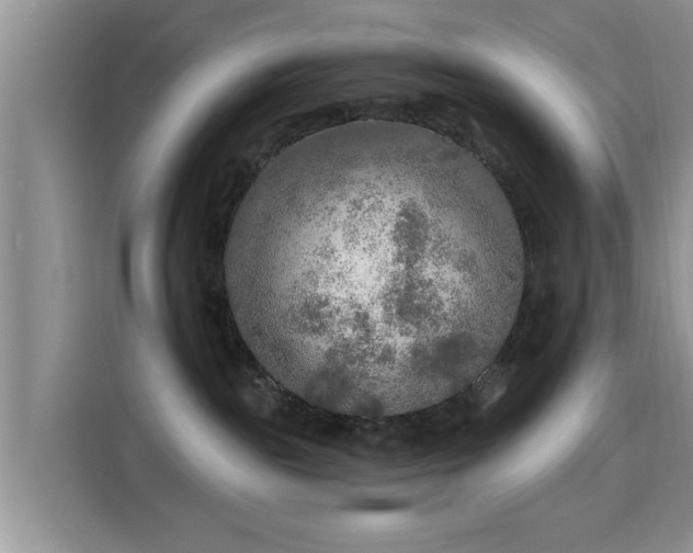 X0000115690189200911191121