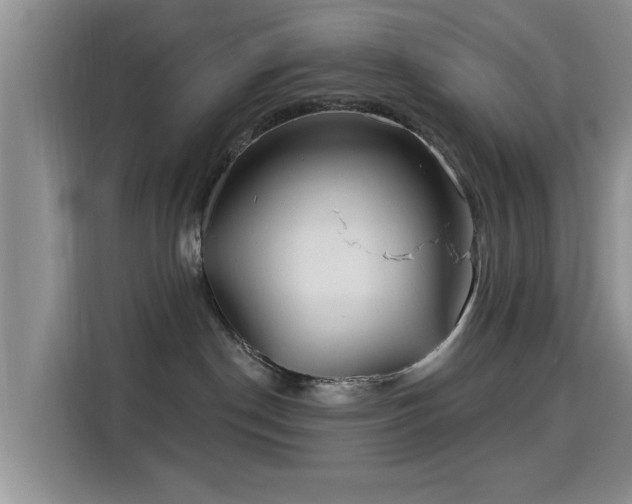 X0000115690190200911191121