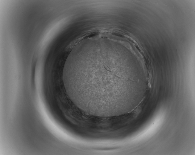 X0000115690191200911191121