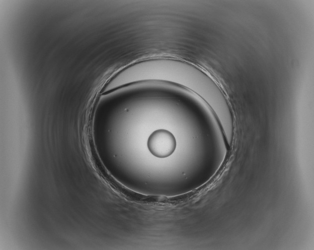 X0000115690193200911191121