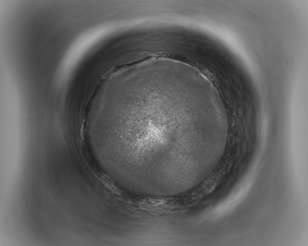 X0000115690194200911191121