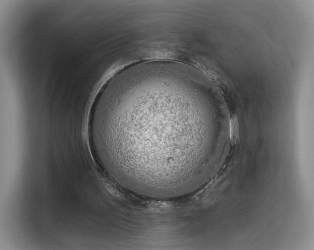 X0000115690195200911191121