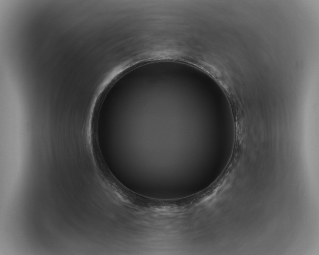 X0000115690196200911191121