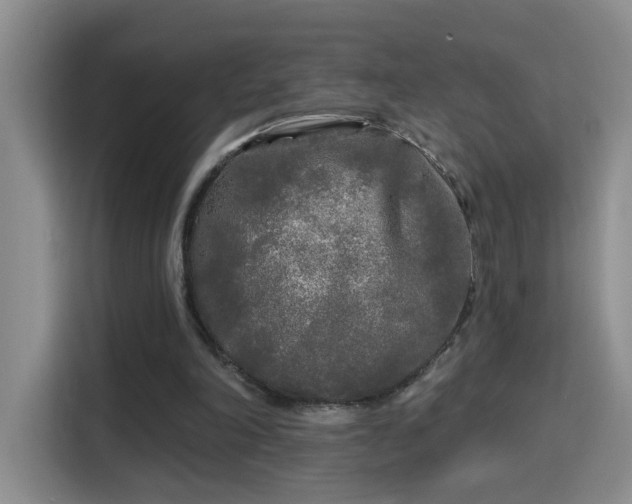 X0000115690198200911191121