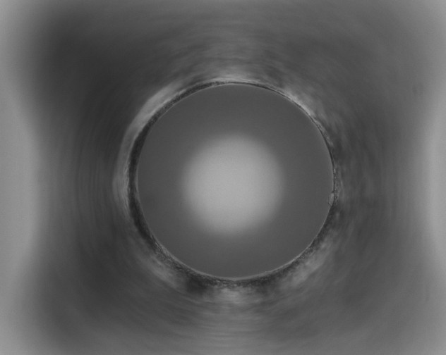 X0000115690199200911191121