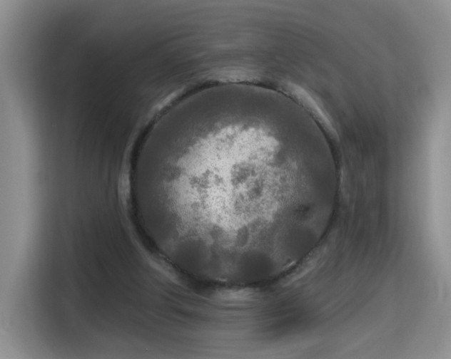 X0000115690202200911191121