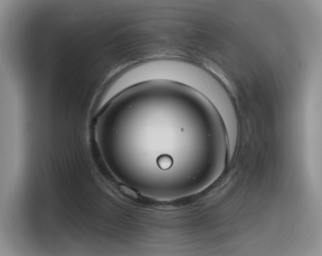 X0000115690203200911191121