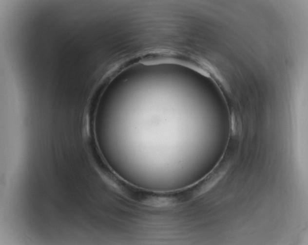 X0000115690205200911191120