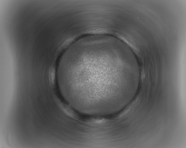 X0000115690206200911191120