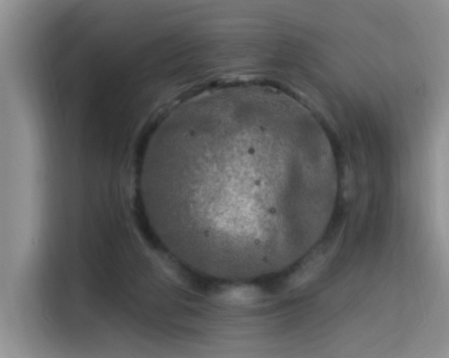 X0000115690210200911191120