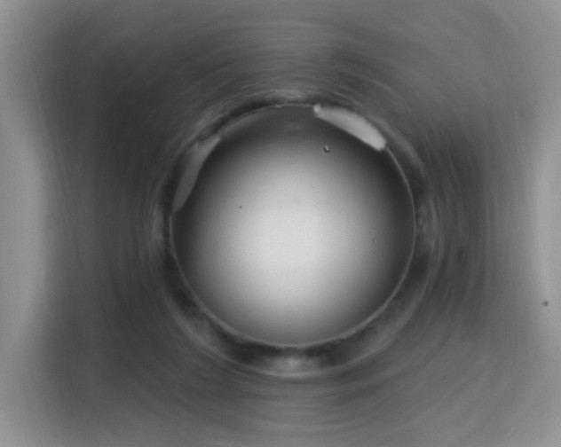 X0000115690212200911191120