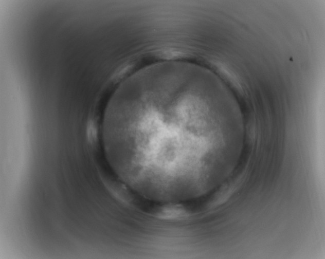 X0000115690214200911191120