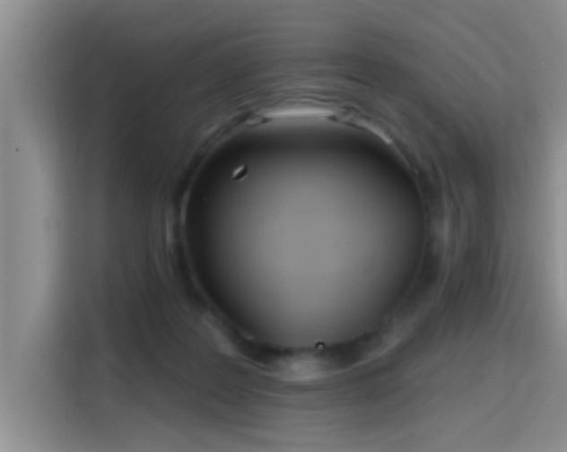 X0000115690219200911191120