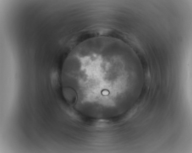 X0000115690222200911191120